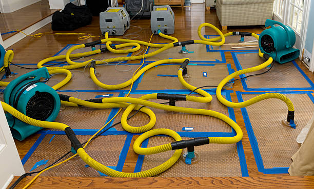 Professional Water Damage Restoration technician working in Vanceboro, NC